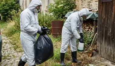 Почистване след умряло животно в жилище Пазарджик