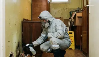Почистване на помещения след гризачи Габрово