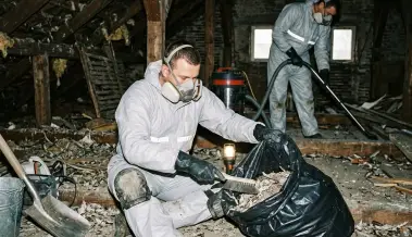 Почистване на пера, гнезда и изпражнения от гълъби Монтана